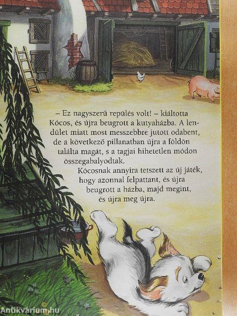 Kócos kalandjai