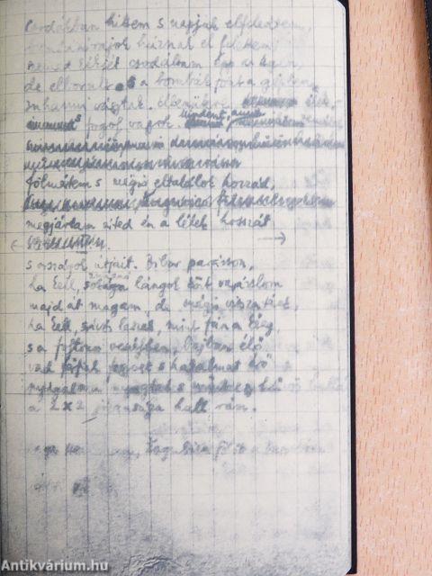 Bori notesz/Bori notesz melléklet