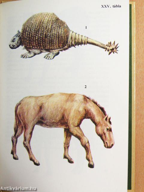 Ősállatok