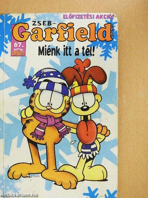 Miénk itt a tél!