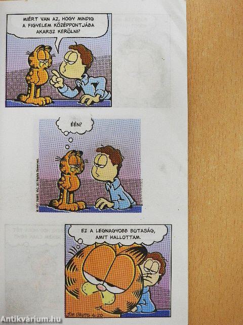 Miénk itt a tél!