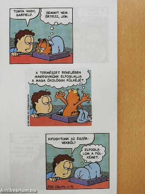 Ez már fánk mennyország?