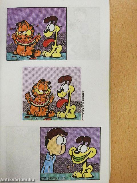 Ez már fánk mennyország?