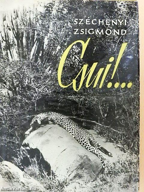 Csui!...