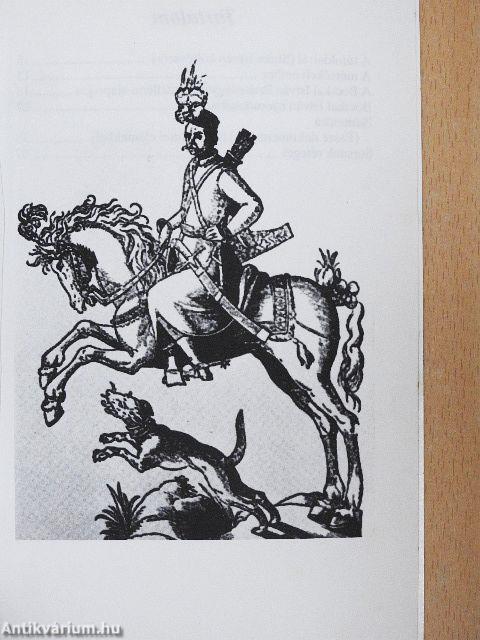 Sorsunk rétegei