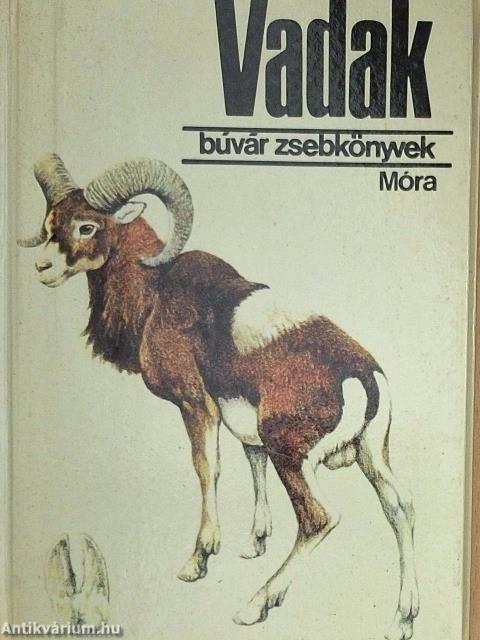 Vadak