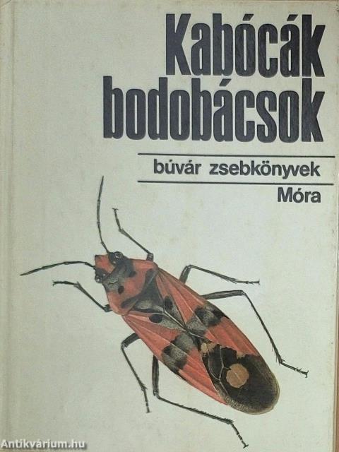 Kabócák, bodobácsok
