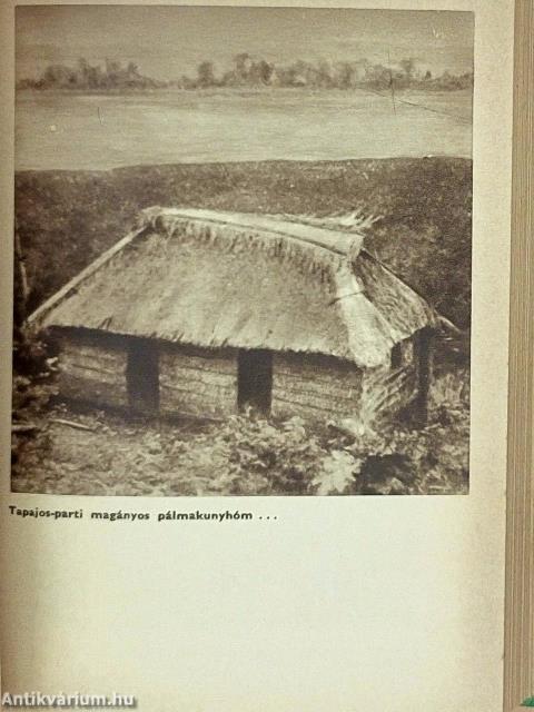 A fehér arany vadonában