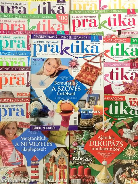Praktika 2008. január-december