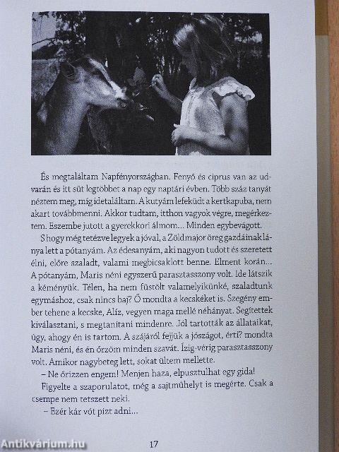 Toronyiránt