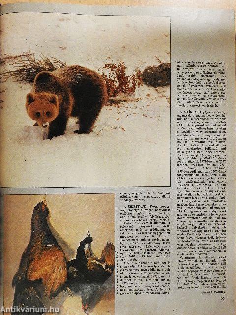 Nimród 1979. január-december
