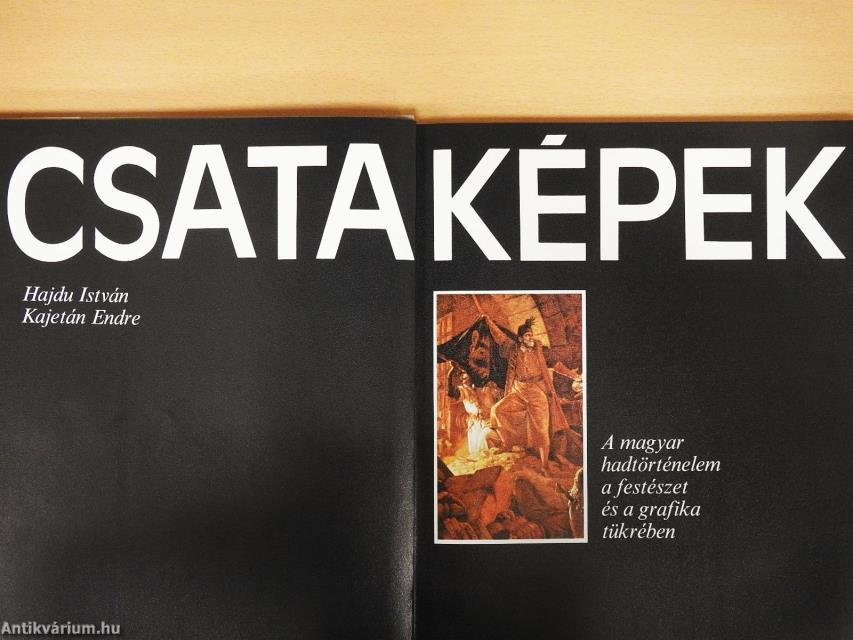 Csataképek