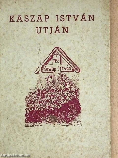 Kaszap István útján