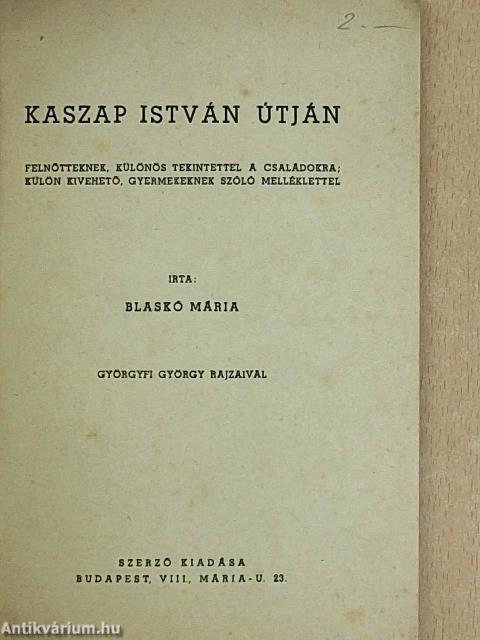 Kaszap István útján