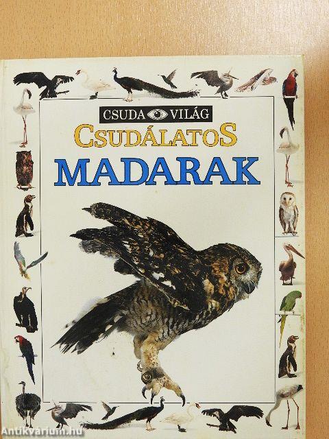 Csudálatos madarak
