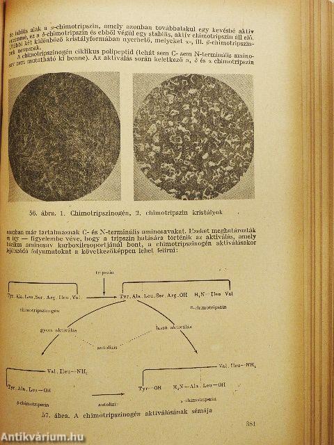 Biokémia