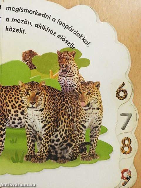 A számok