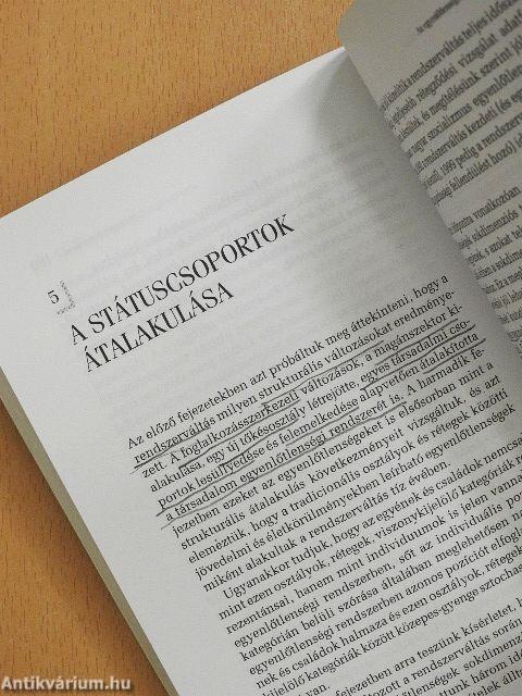 A terhes babapiskóta