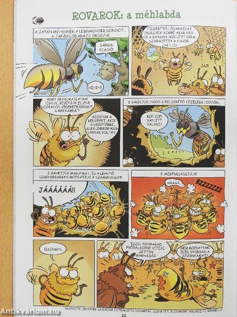 Hahota Pörgető 5.