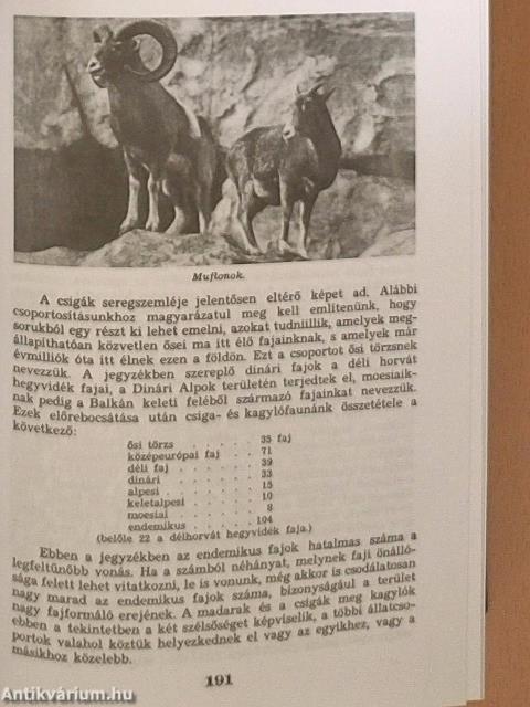 Az ezeréves Magyarország