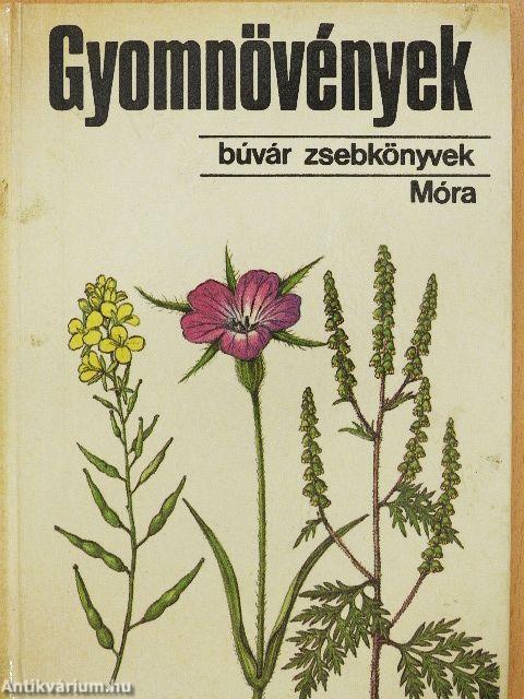 Gyógynövények