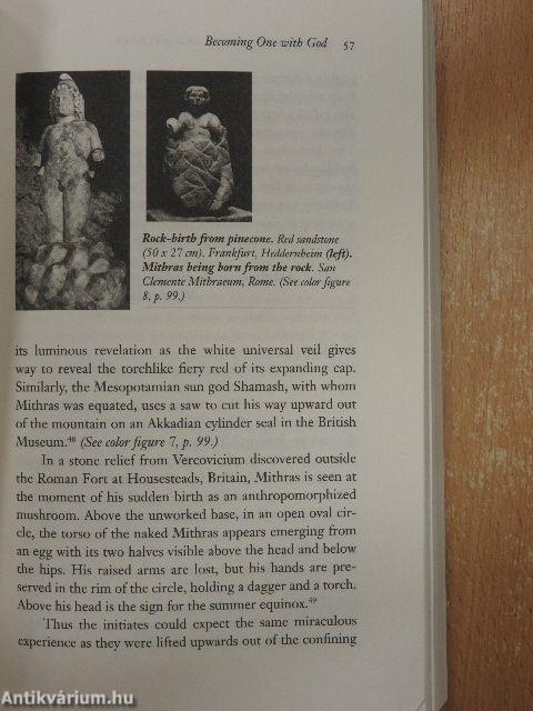 Mushrooms, Myth & Mithras