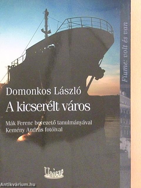A kicserélt város