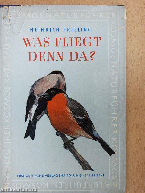 Was fliegt denn da?