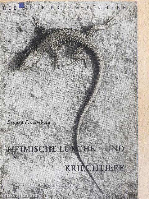 Heimische lurche und kriechtiere
