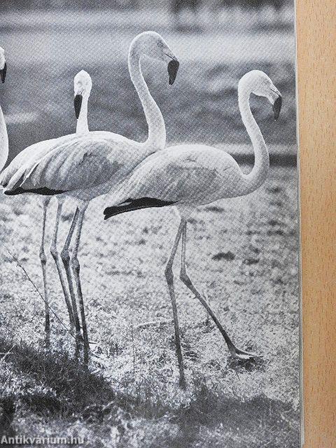 Tierpark Berlin