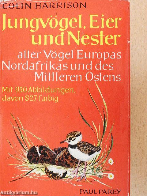 Jungvögel, Eier und Nester