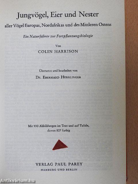 Jungvögel, Eier und Nester