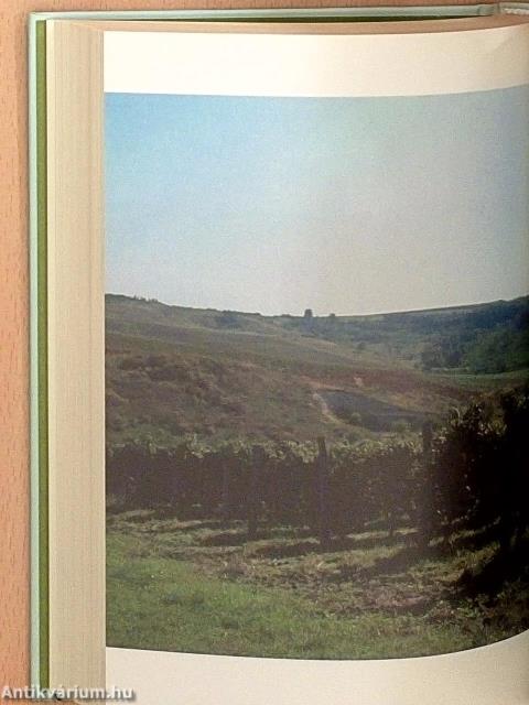 Keserű pohár 1-3.