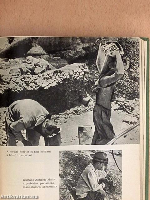 Az Amazonas őserdeiben