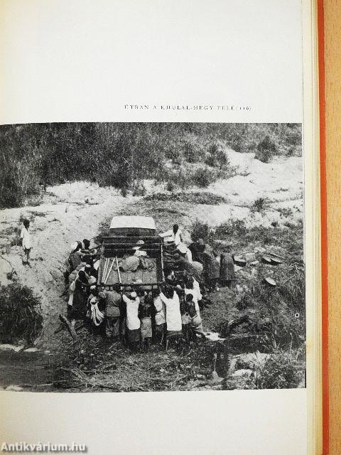 Afrikai tábortüzek