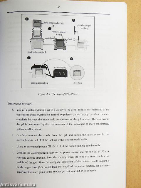 Molecular Cell Biology Laboratory Manual