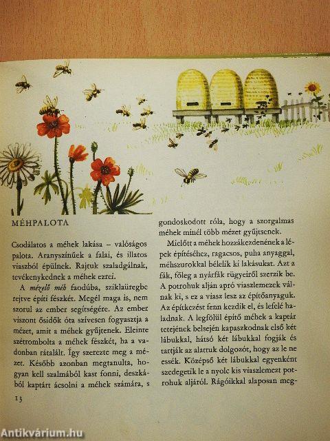 Parányi bölcsőlakók