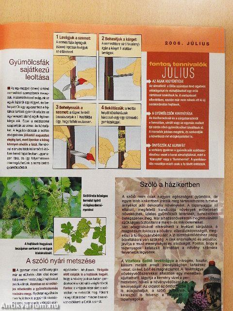 Csodakert 2006. július
