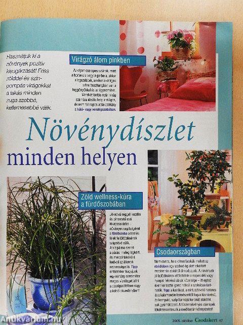 Csodakert 2005. október