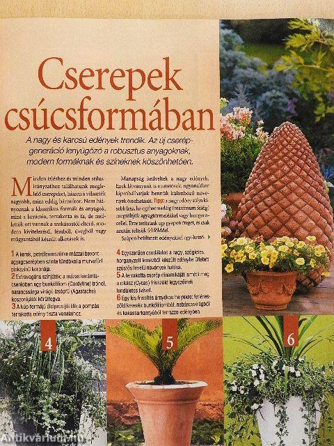 Csodakert 2005. szeptember