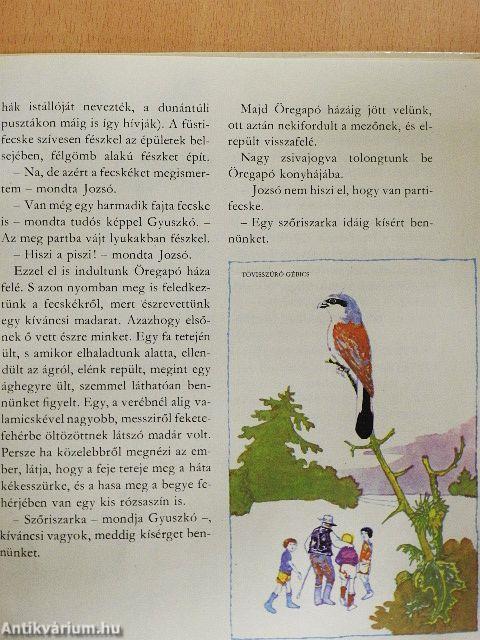 Öregapó madarai