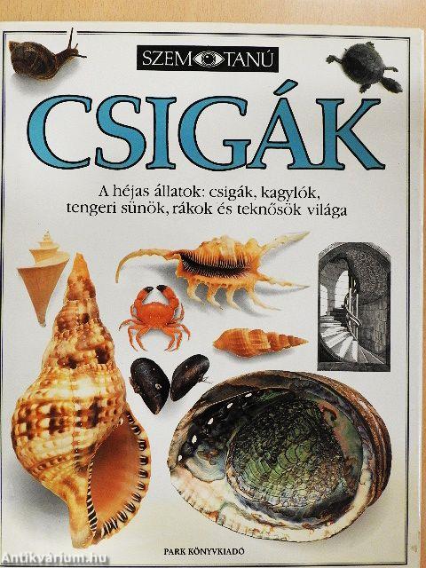 Csigák
