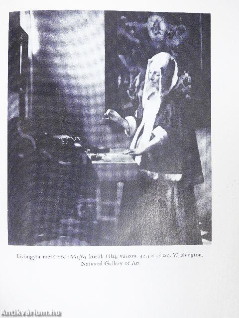 Vermeer van Delft életregénye
