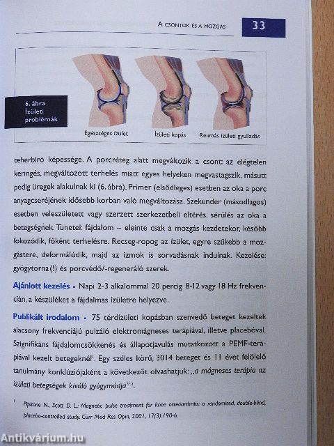 Pulzáló mágnesterápia