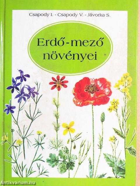 Erdő-mező növényei