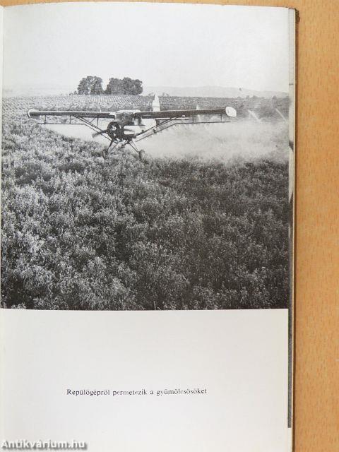 Varázslat molekulákkal