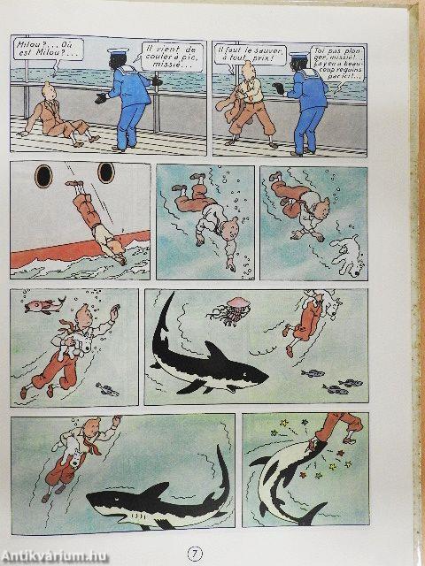Tintin au Congo