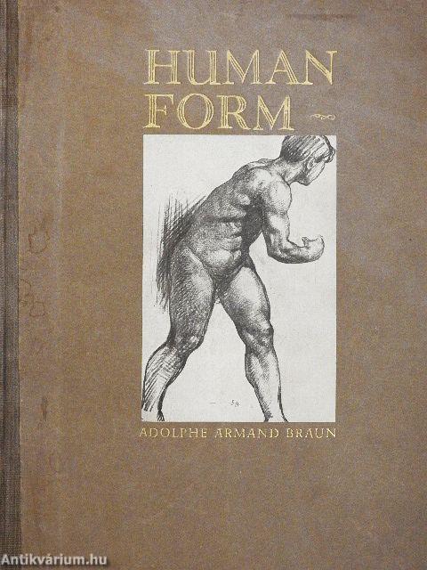 The Human Form in Art