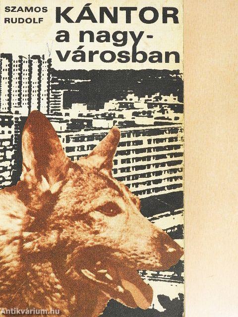 Kántor a nagyvárosban