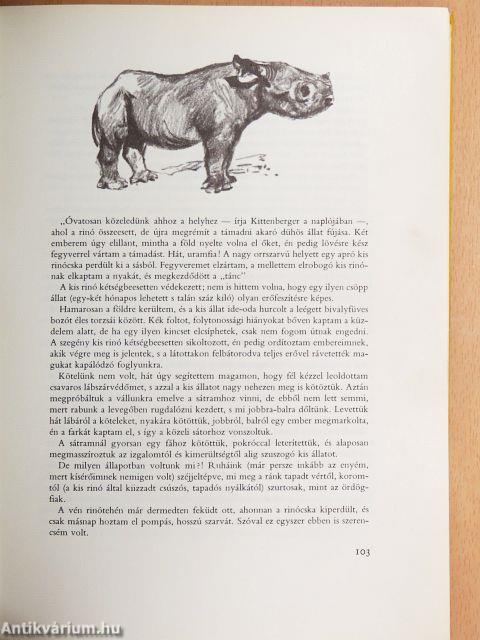 Kittenberger Kálmán élete 